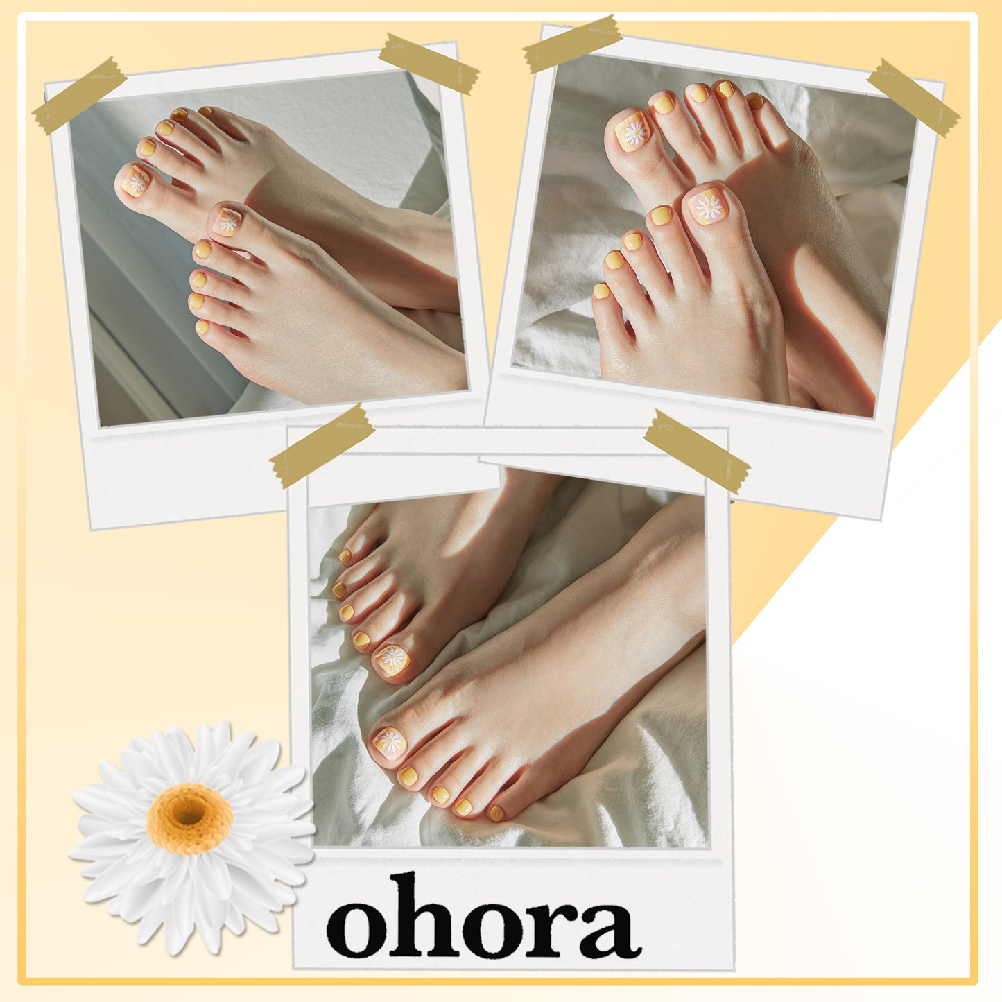 Ohora (P Sun Daisy Pedi)